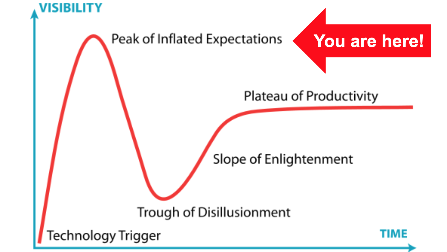 Gartner Hypecycle Curve with Annotations